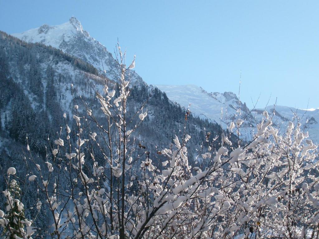 Appartement T2 CHAMONIX CENTRE Balcon Vue MONT BLANC Extérieur photo